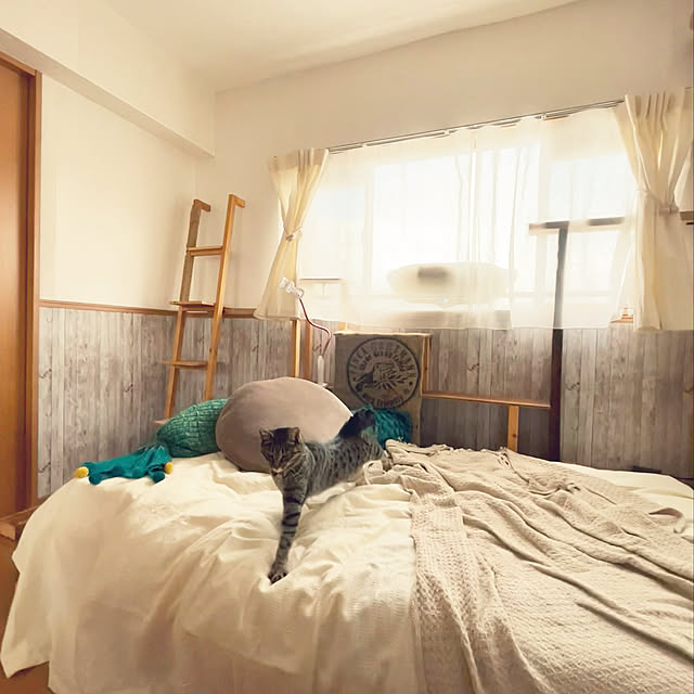 Mさんの実例写真
