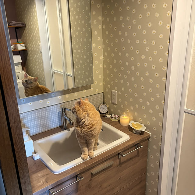 naokoさんの実例写真