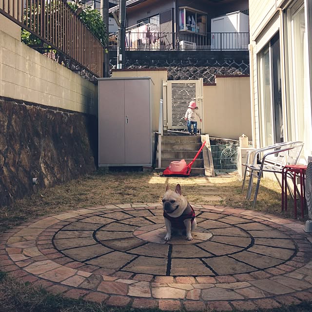 Maizuruさんの実例写真