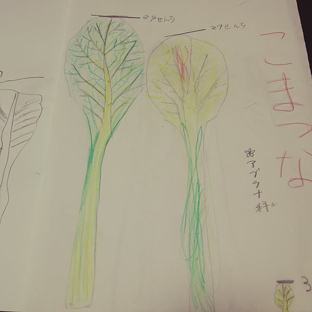 yun0603さんの実例写真