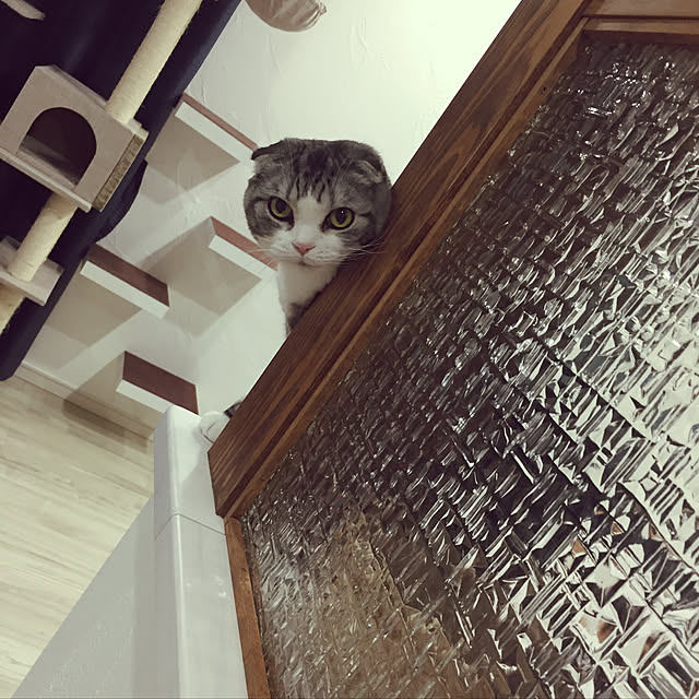 youri1213さんの実例写真