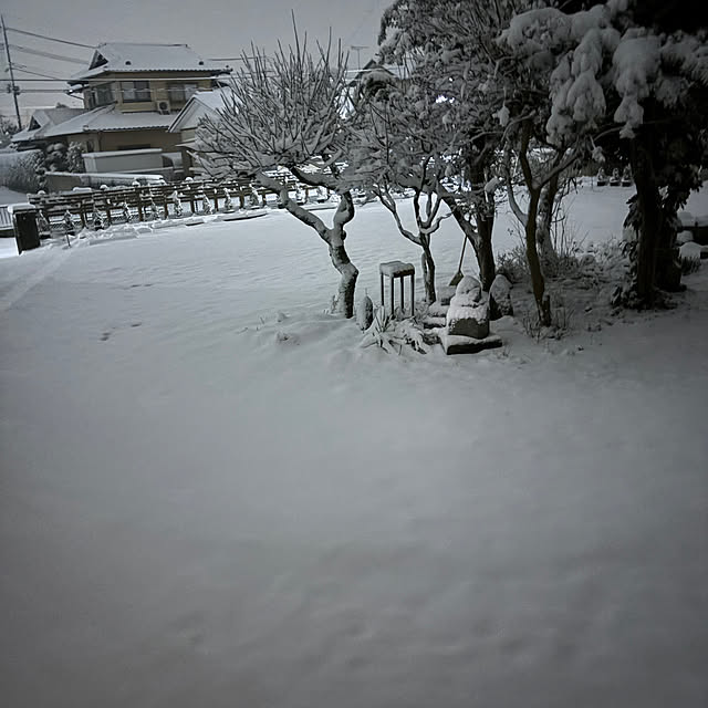 akkeyさんの実例写真