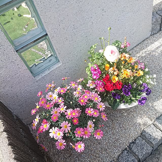 hmkykさんの部屋