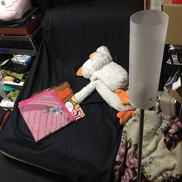 Shigeさんの実例写真