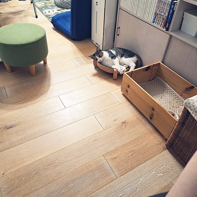akimameさんの実例写真