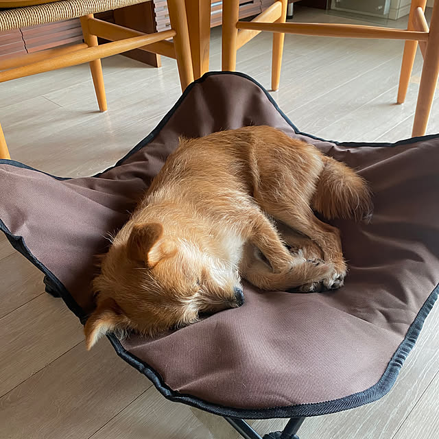 Yoheiさんの実例写真