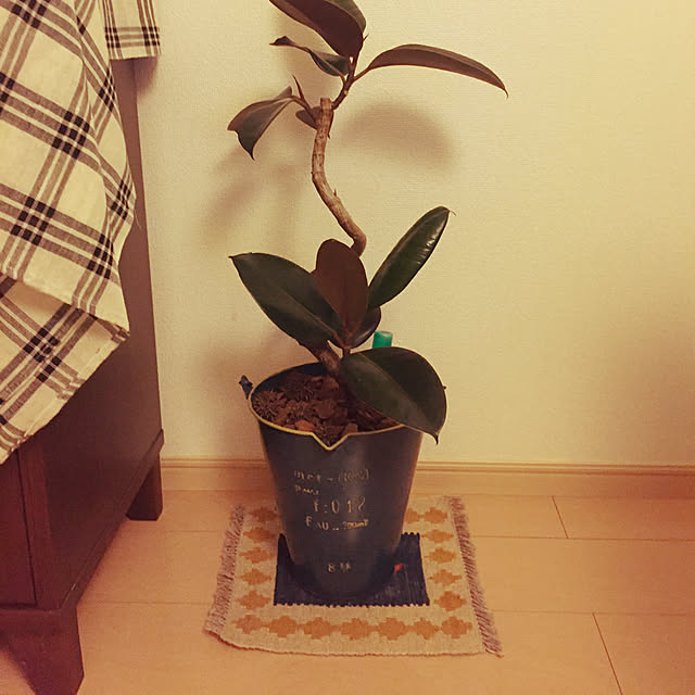 hamasakitakahiro1224さんの実例写真