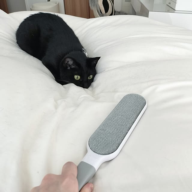 sakuraさんの部屋