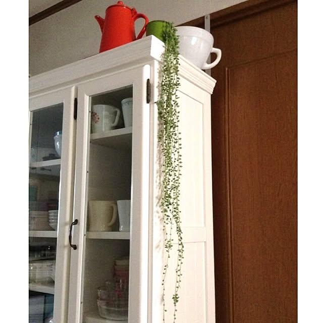 mooさんの実例写真
