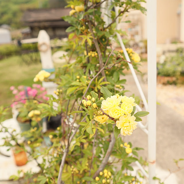 S.homeさんの実例写真