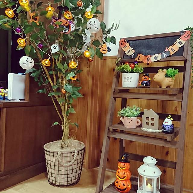 misarikuさんの実例写真