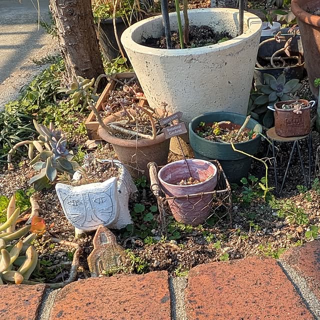 mori_6_12さんの部屋