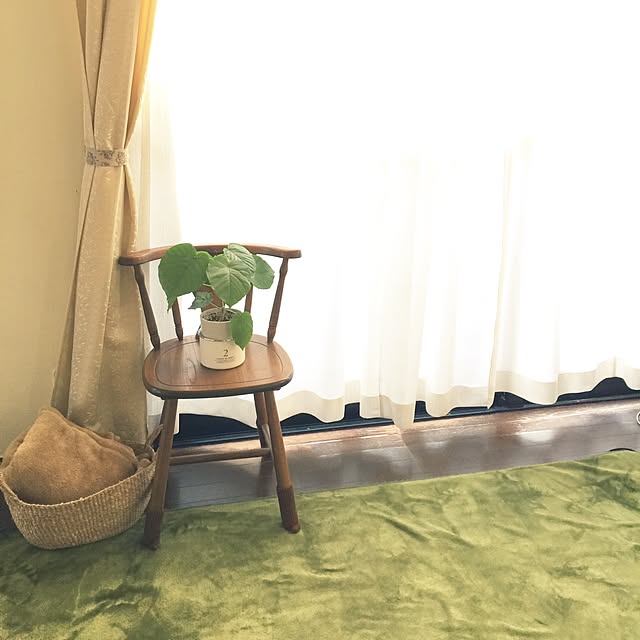 部屋全体/セリア/ウンベラータ/無印良品/シンプルナチュラル...などのインテリア実例 - 2015-10-09 15:34:47