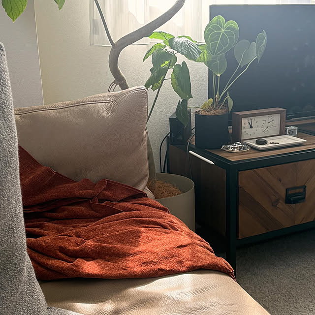 mumuさんの実例写真