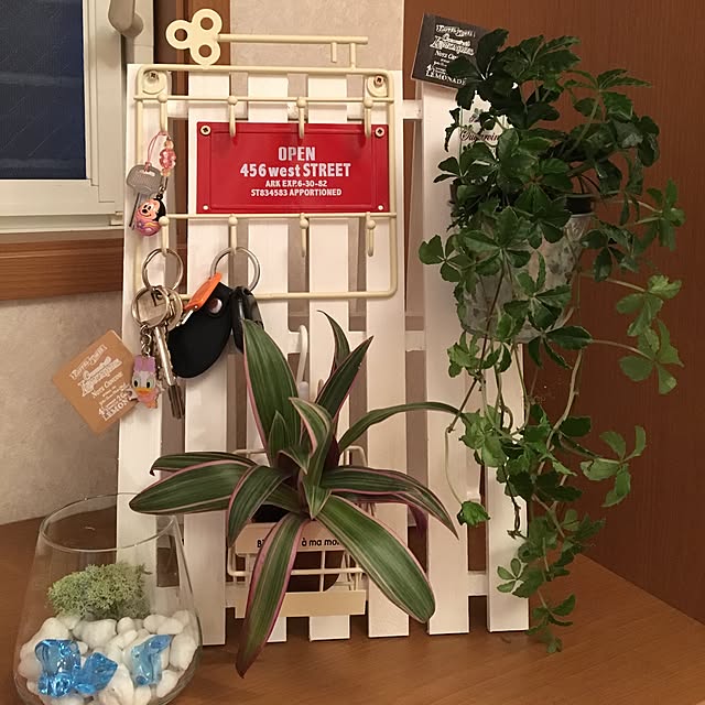 Megumiさんの実例写真