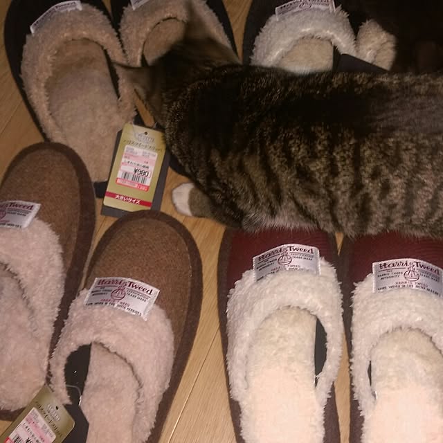 OKANさんの実例写真