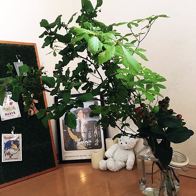 miSaさんの実例写真