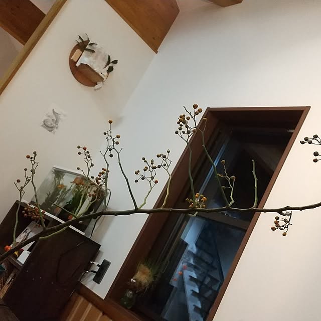 ahahaさんの実例写真