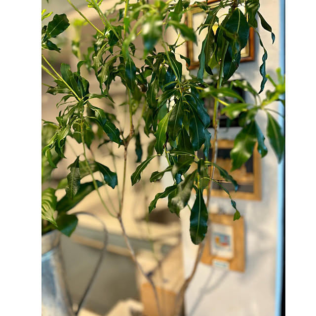syutmmさんの部屋
