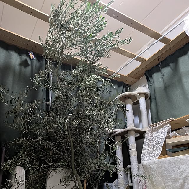 mori_6_12さんの実例写真