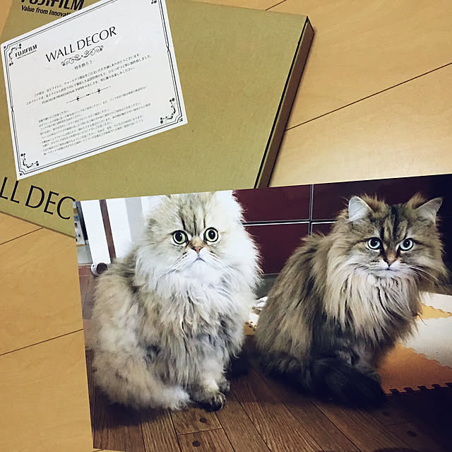k_dinoさんの実例写真