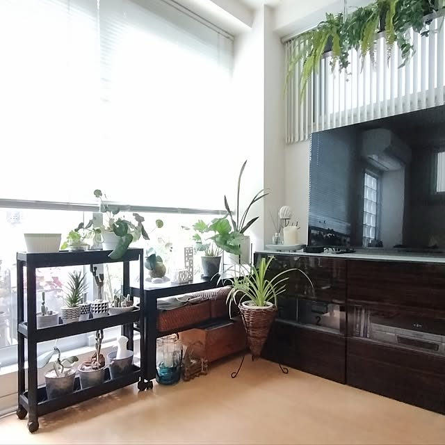 jinさんの実例写真