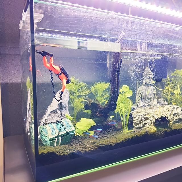 iegomori0621さんの部屋