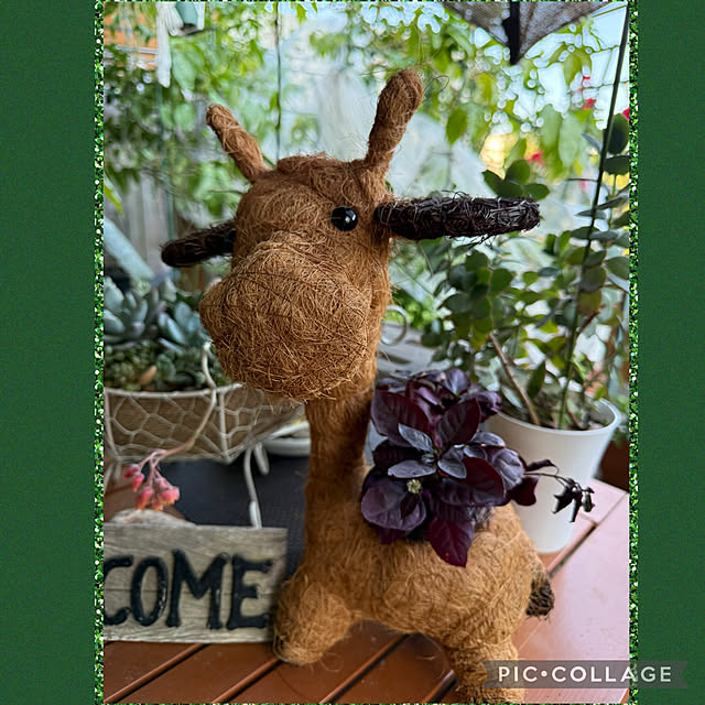 Aqettyさんの部屋