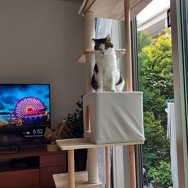 yuki1004さんの実例写真