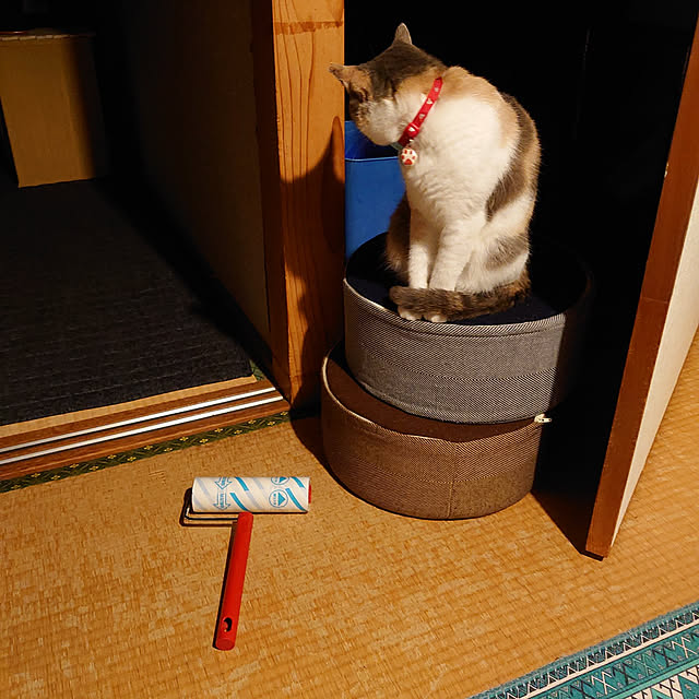 fukuさんの実例写真