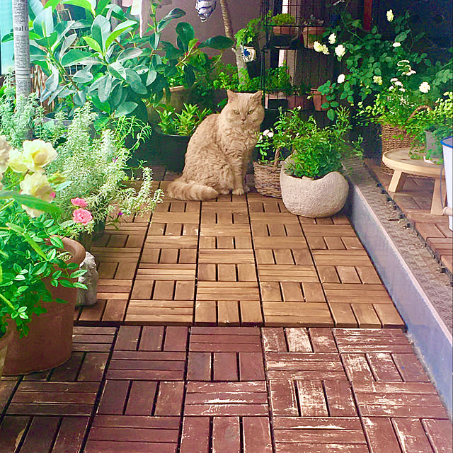 naokoさんの実例写真