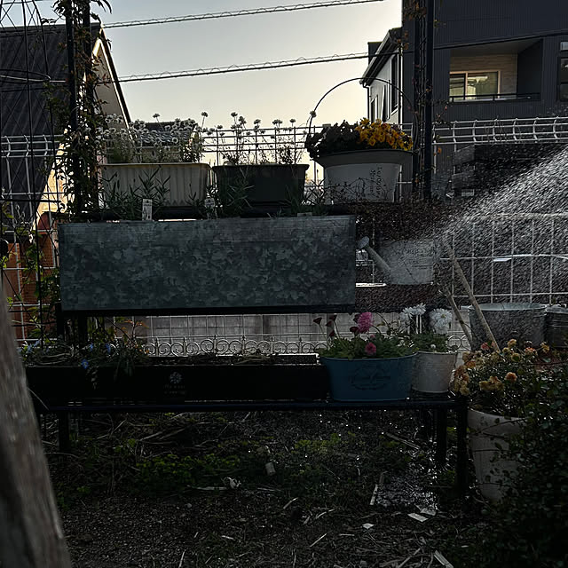 OMAさんの部屋
