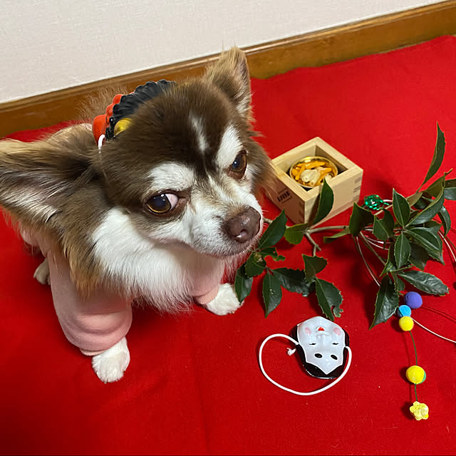 chIoeさんの実例写真