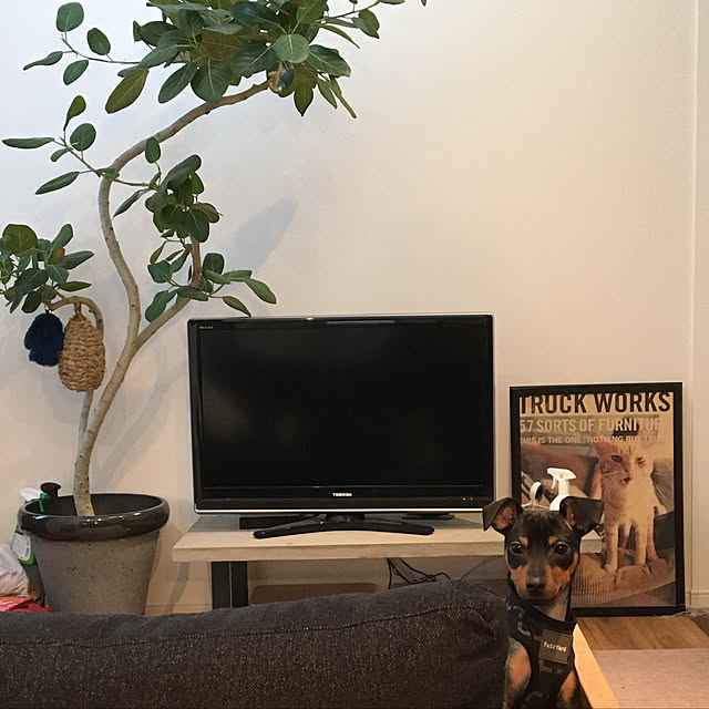lemonさんの実例写真