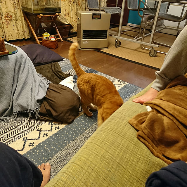 okyosan101さんの実例写真