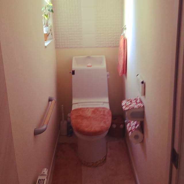 minminさんの実例写真