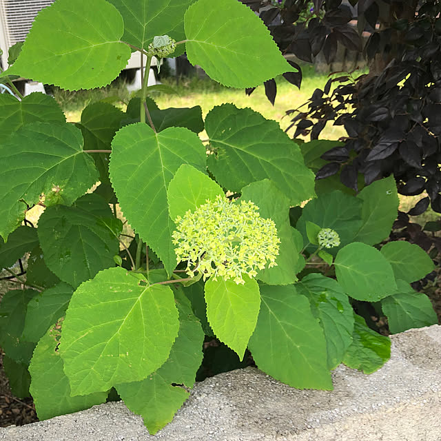 miukiさんの部屋