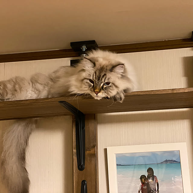 harumahoさんの実例写真