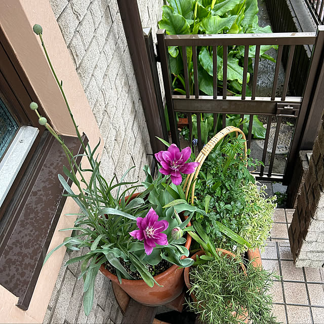 botanさんの部屋