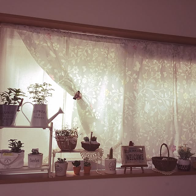 bocchiさんの実例写真