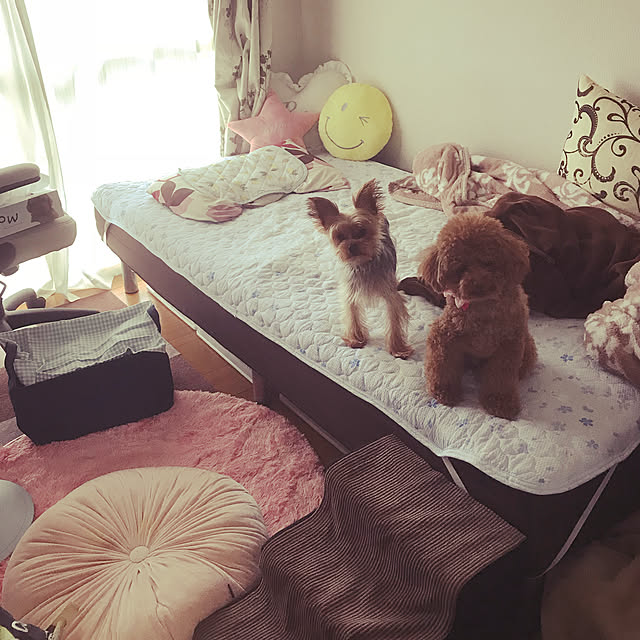 Patricia_Bennettさんの実例写真