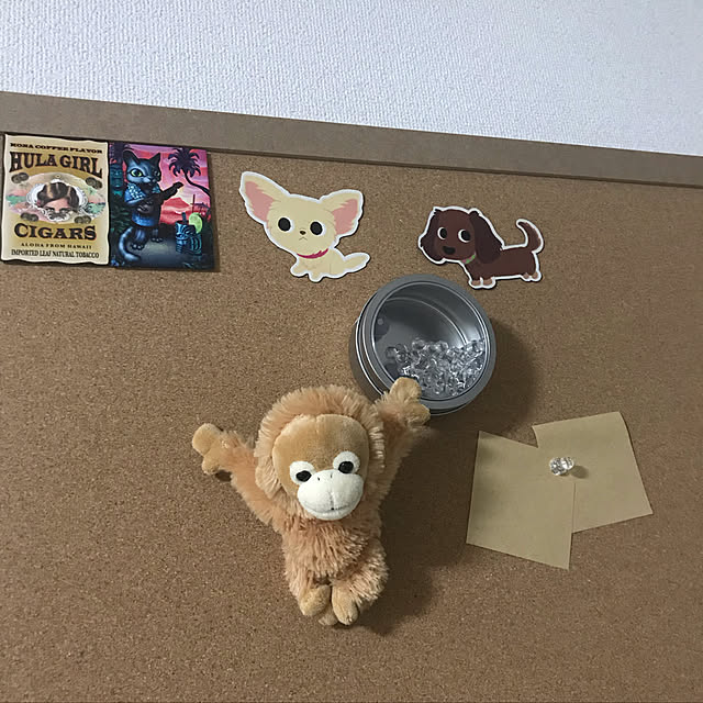 MIUさんの実例写真