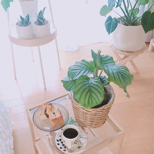 milkcocoaさんの実例写真