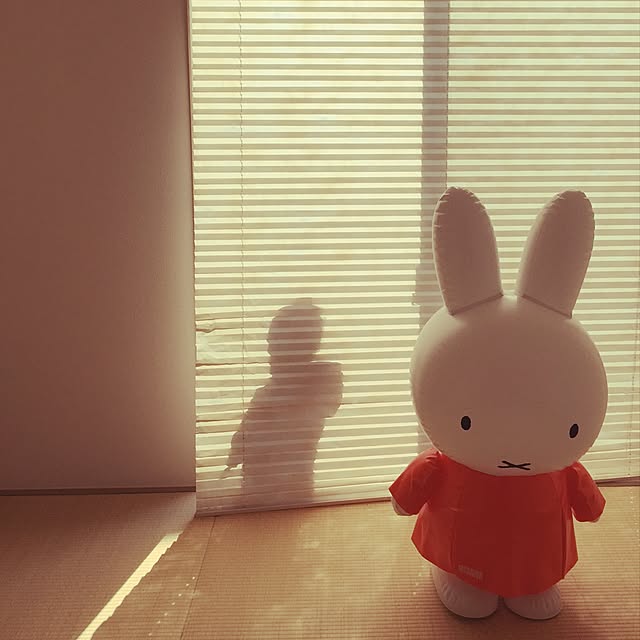tahaさんの実例写真
