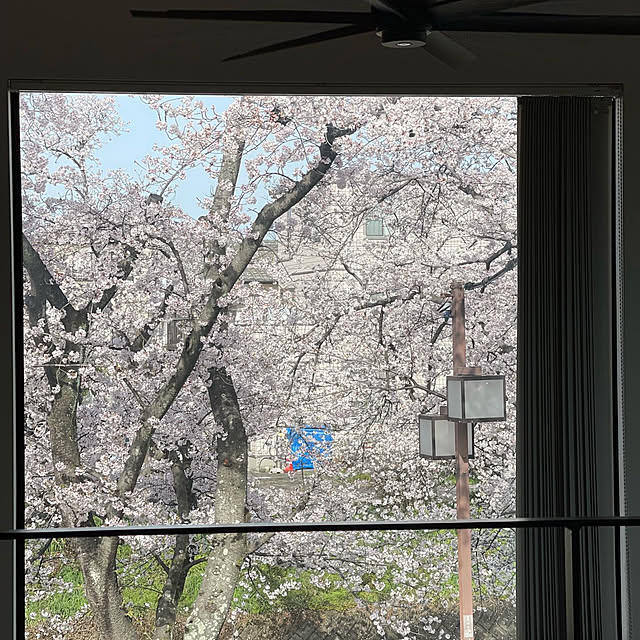 Noboさんの部屋