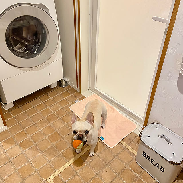 yumiさんの部屋