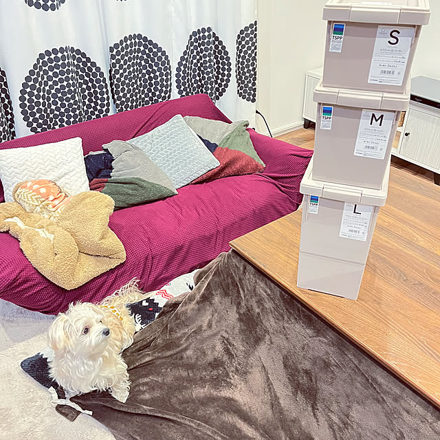 seiさんの部屋