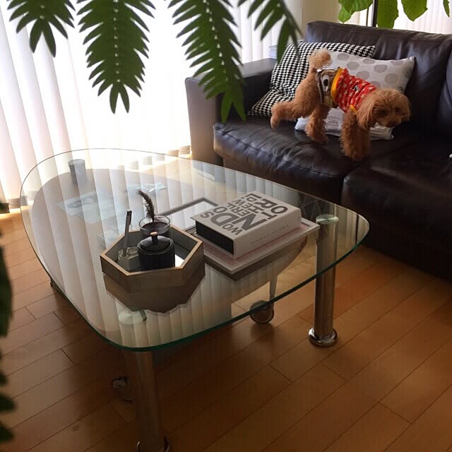 Saraさんの実例写真