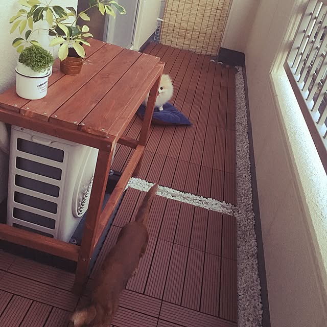 Tomoyoさんの実例写真