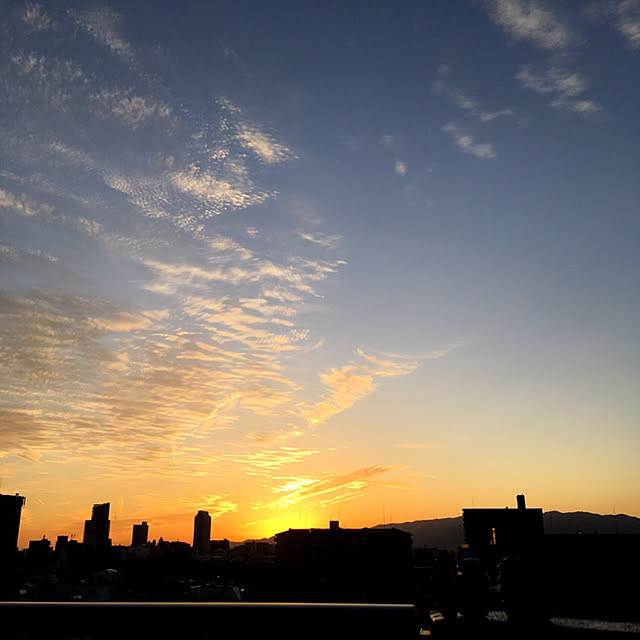 simple_blowbackさんの実例写真